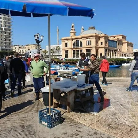 Corte 5 Hébergement de vacances *