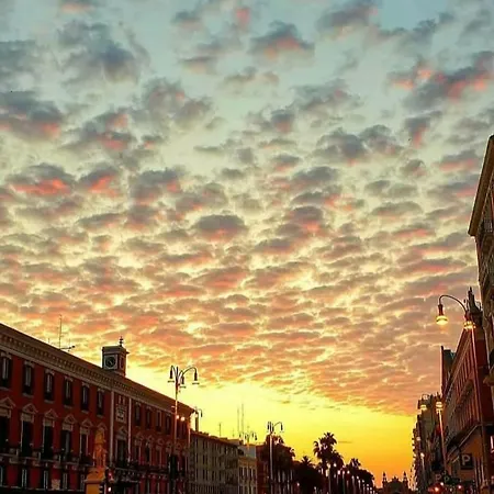 Corte 5 *