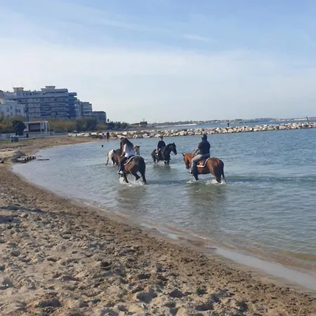 Corte 5 Hébergement de vacances *